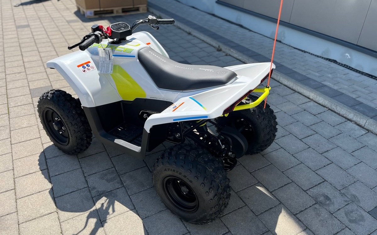 Angebot CFMOTO EV110