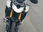 Angebot Triumph Tiger 900 Rally Pro