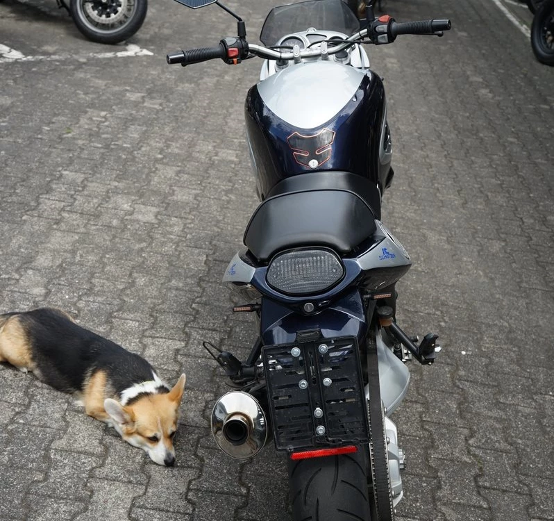 Zum Vergrößern bitte anklicken! Angebot BMW F 650 CS