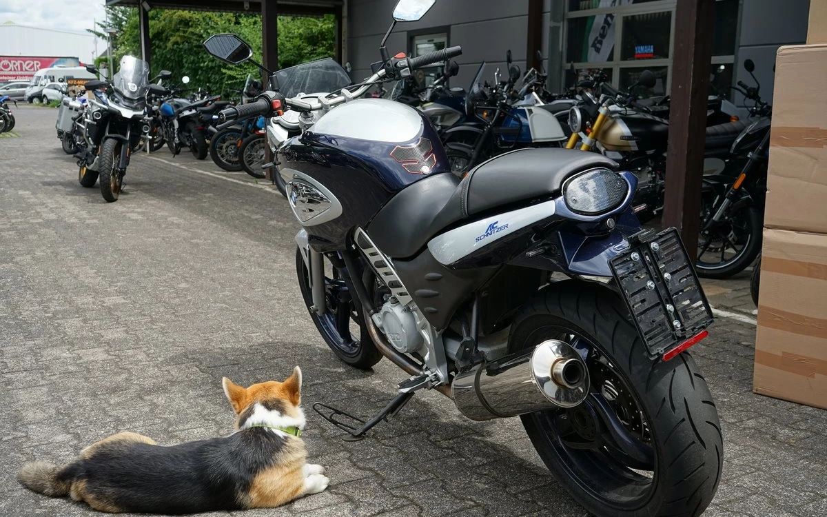 Zum Vergrößern bitte anklicken! Angebot BMW F 650 CS