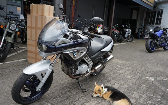 Gebrauchtmotorrad BMW F 650 CS - Bild 2