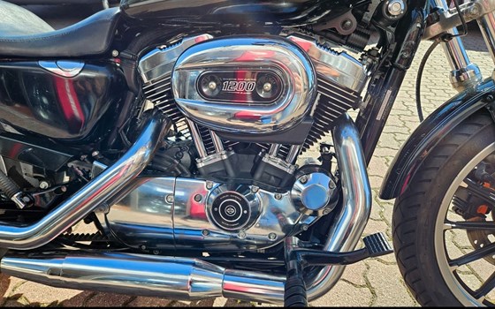 Gebrauchtmotorrad Harley-Davidson Sportster XL 1200 L Low - Bild 12