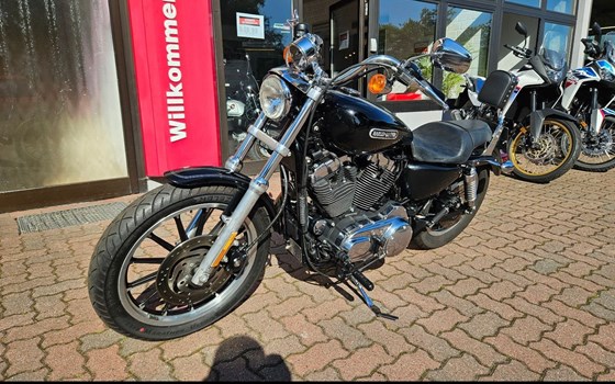 Gebrauchtmotorrad Harley-Davidson Sportster XL 1200 L Low - Bild 2