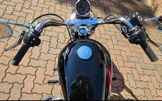 Gebrauchtmotorrad Harley-Davidson Sportster XL 1200 L Low - Bild 8