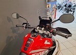 Angebot Triumph Tiger 900 GT