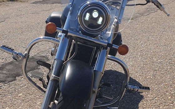 Gebrauchtmotorrad Suzuki Intruder VL 1500 LC - Bild 5 Gebrauchtmotorrad Suzuki Intruder VL 1500 LC - Bild 5