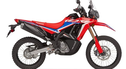 Neumotorrad Honda CRF300 Rally