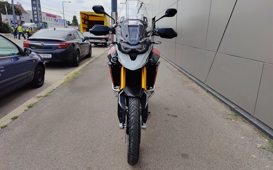 Neufahrzeug Triumph Tiger 900 Rally Pro - Bild 3 Neufahrzeug Triumph Tiger 900 Rally Pro - Bild 3