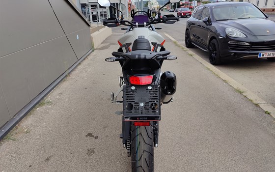 Neufahrzeug Triumph Tiger 900 Rally Pro - Bild 5 Neufahrzeug Triumph Tiger 900 Rally Pro - Bild 5