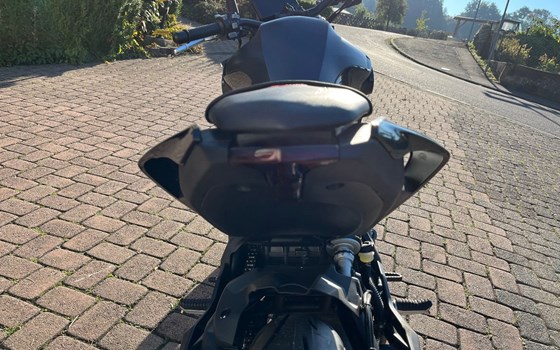 Neufahrzeug QJ Motor SRK 400 - Bild 7