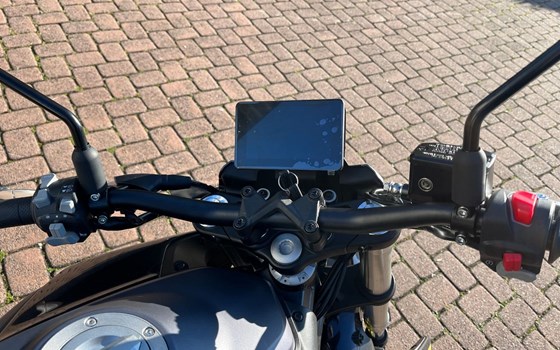 Neufahrzeug QJ Motor SRK 400 - Bild 9