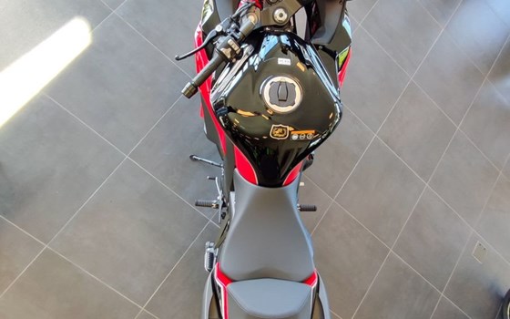 Neufahrzeug Kawasaki Ninja 1000SX 40th Anniversary - Bild 5