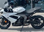 Angebot Triumph Daytona 600