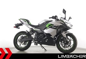 Kawasaki Ninja e-1