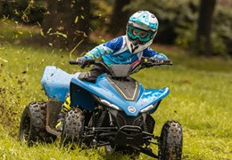 Neumotorrad CFMOTO CForce 110