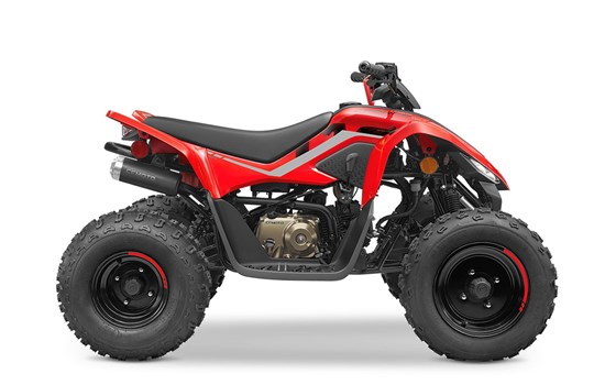 Neufahrzeug CFMOTO CForce 110 - Bild 1