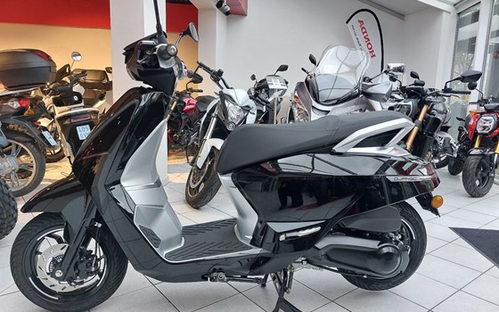 Neufahrzeug Peugeot Django EVO - Bild 1