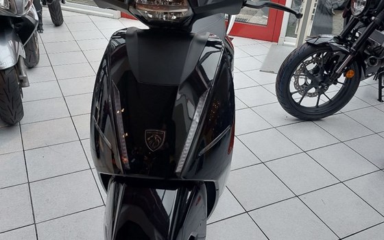 Neufahrzeug Peugeot Django EVO - Bild 2