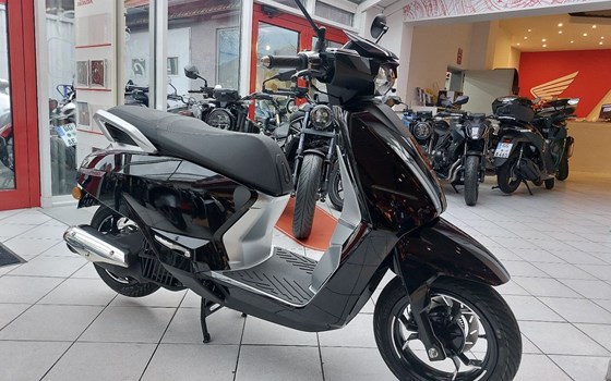 Neufahrzeug Peugeot Django EVO - Bild 3