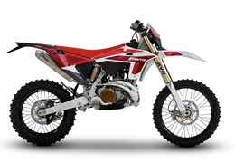 Neumotorrad Fantic XE 300