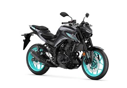 Neumotorrad Yamaha MT-03