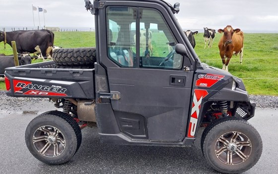 Gebrauchtmotorrad Polaris Ranger 900 XP - Bild 1