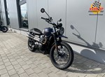 Offer Triumph Street Scrambler Gold Line