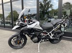 Angebot Triumph Tiger 1200 GT PRO