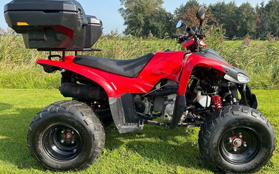 Gebrauchtmotorrad Luxxon 320S - Bild 4