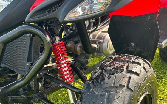 Gebrauchtmotorrad Luxxon 320S - Bild 5