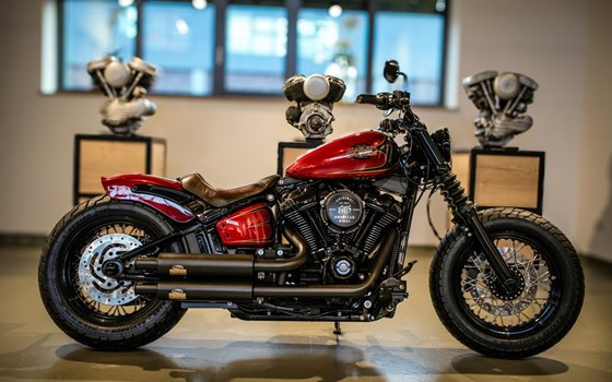 Neufahrzeug Harley-Davidson Softail Street Bob FXBB - Bild 1