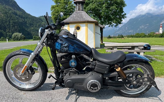 Gebrauchtmotorrad Harley-Davidson Custom Bike - Bild 1