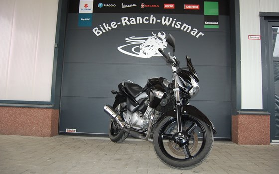 Gebrauchtmotorrad Suzuki GW250 Inazuma - Bild 3