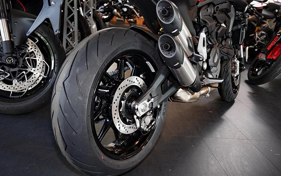 Neufahrzeug Ducati Monster + - Bild 3