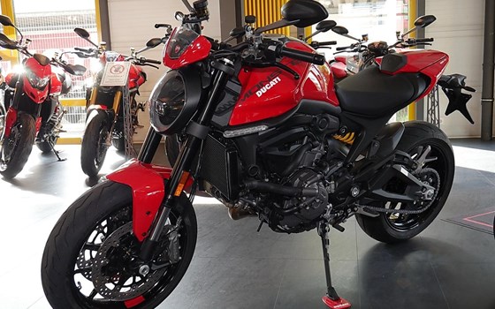 Neufahrzeug Ducati Monster + - Bild 7