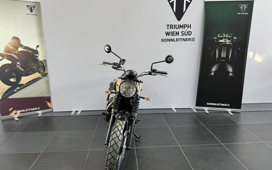Gebrauchtmotorrad Triumph Scrambler 900 - Bild 3 Gebrauchtmotorrad Triumph Scrambler 900 - Bild 3