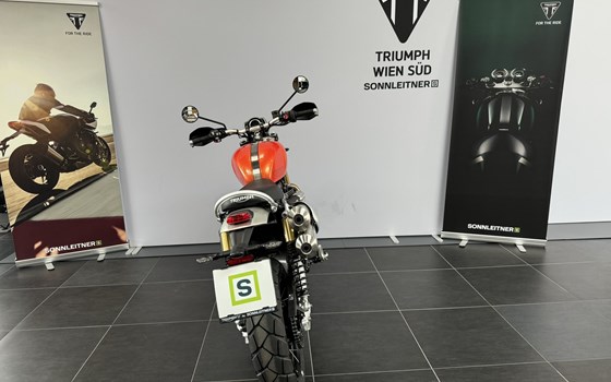 Neufahrzeug Triumph Scrambler 1200 XE - Bild 4 Neufahrzeug Triumph Scrambler 1200 XE - Bild 4