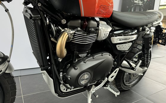 Neufahrzeug Triumph Scrambler 1200 XE - Bild 9 Neufahrzeug Triumph Scrambler 1200 XE - Bild 9