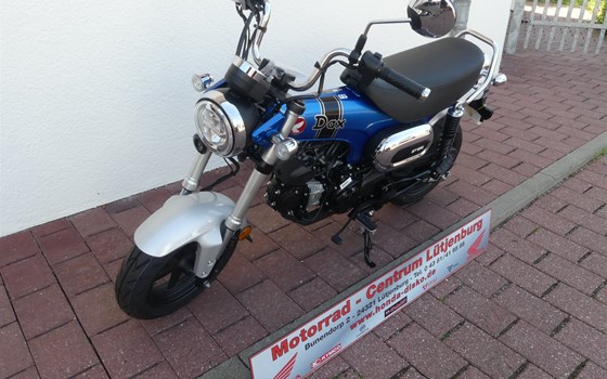 Neufahrzeug Honda Dax 125 - Bild 3