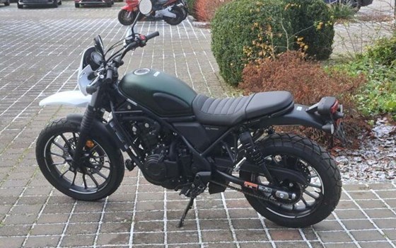 Neufahrzeug Honda CL500 - Bild 3