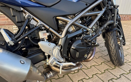 Neufahrzeug Suzuki SV650 - Bild 4