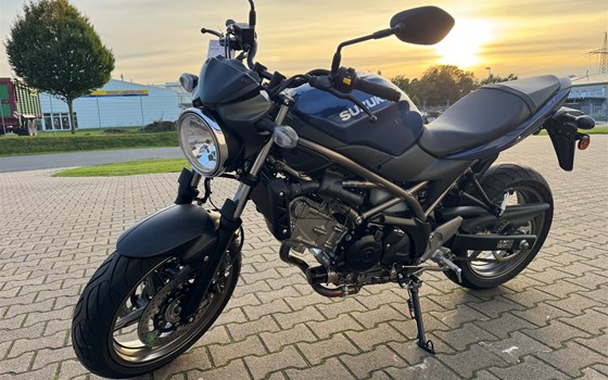 Neufahrzeug Suzuki SV650 - Bild 7