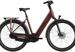 Neumotorrad Batavus Finez E-go