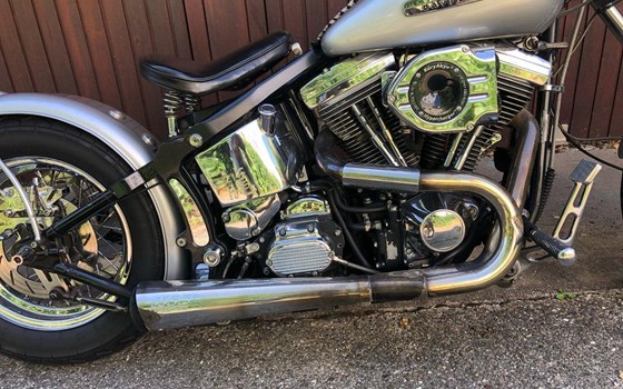 Gebrauchtmotorrad Harley-Davidson Softail Custom FXSTC - Bild 5 Gebrauchtmotorrad Harley-Davidson Softail Custom FXSTC - Bild 5