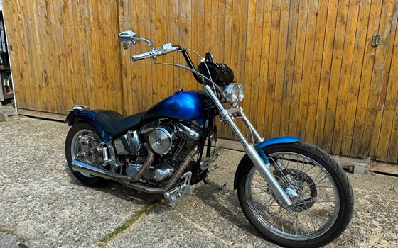 Gebrauchtmotorrad Harley-Davidson Softail Standard FXST - Bild 1