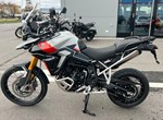 Angebot Triumph Tiger 900 Rally Pro