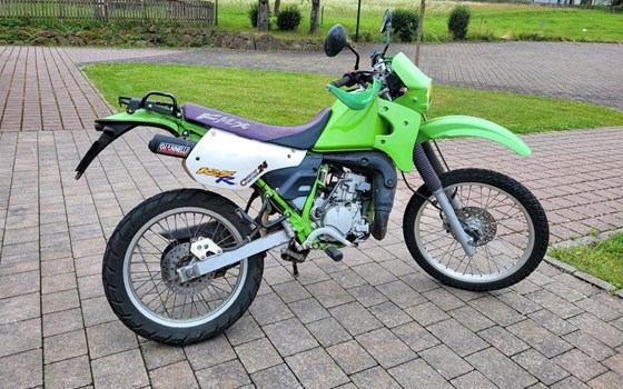 Motorrad Occasion Kawasaki KMX 125 - Bild 2