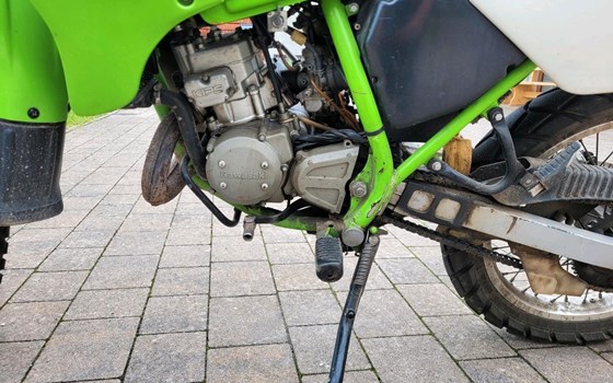 Motorrad Occasion Kawasaki KMX 125 - Bild 5
