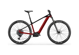 Neumotorrad Mondraker Prime