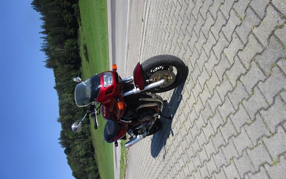Gebrauchtmotorrad Suzuki Bandit 1200 - Bild 5
